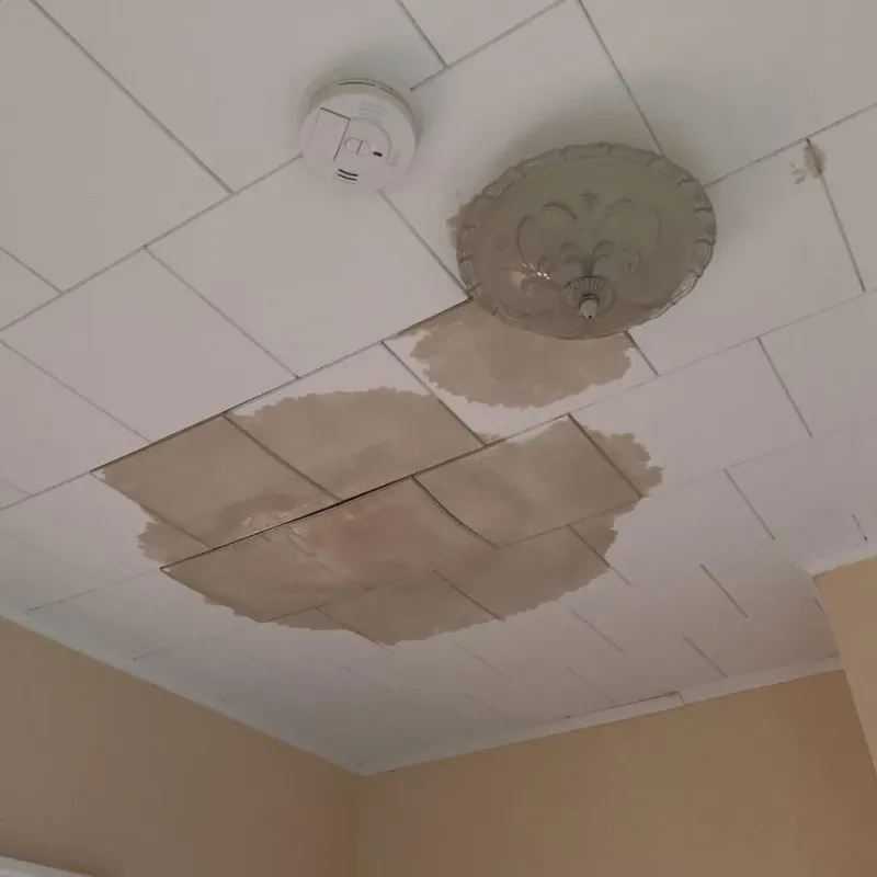 Ceiling Water Damage Repair in La Crescent, MN