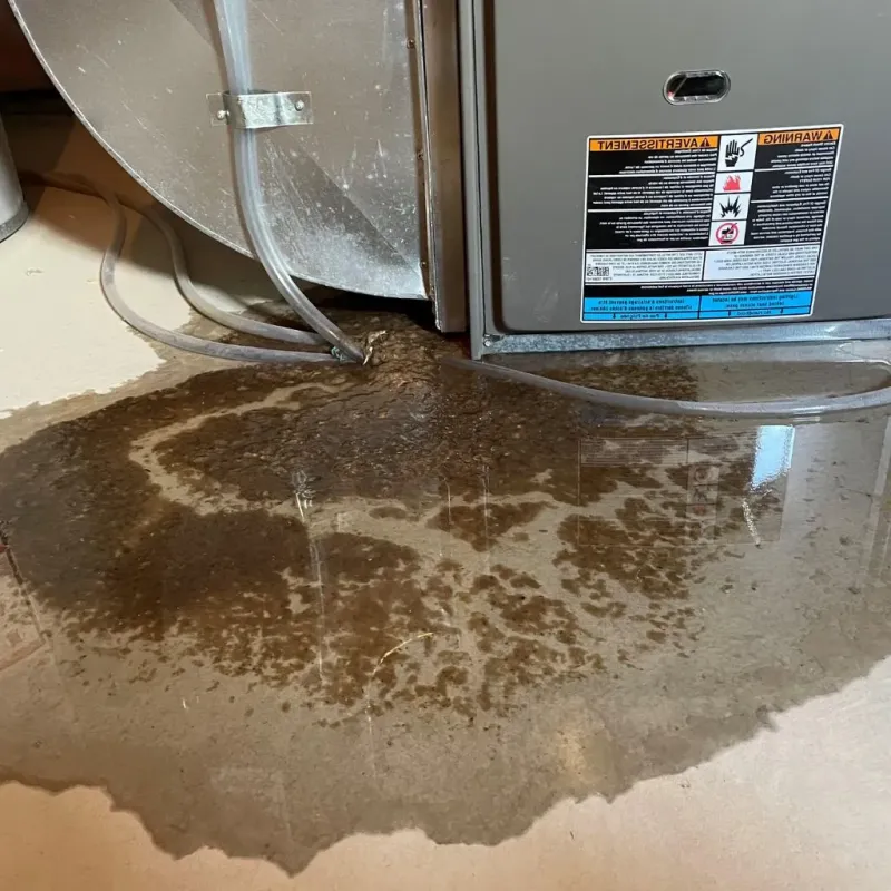 Pipe Burst and Leak Restoration in La Crescent, MN